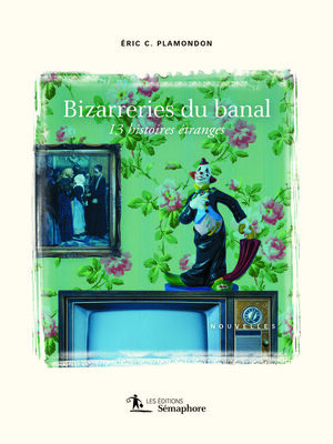 cover image of Bizarreries du banal